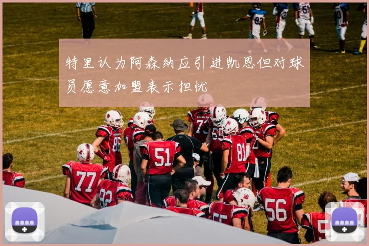 特里认为阿森纳应引进凯恩但对球员愿意加盟表示担忧